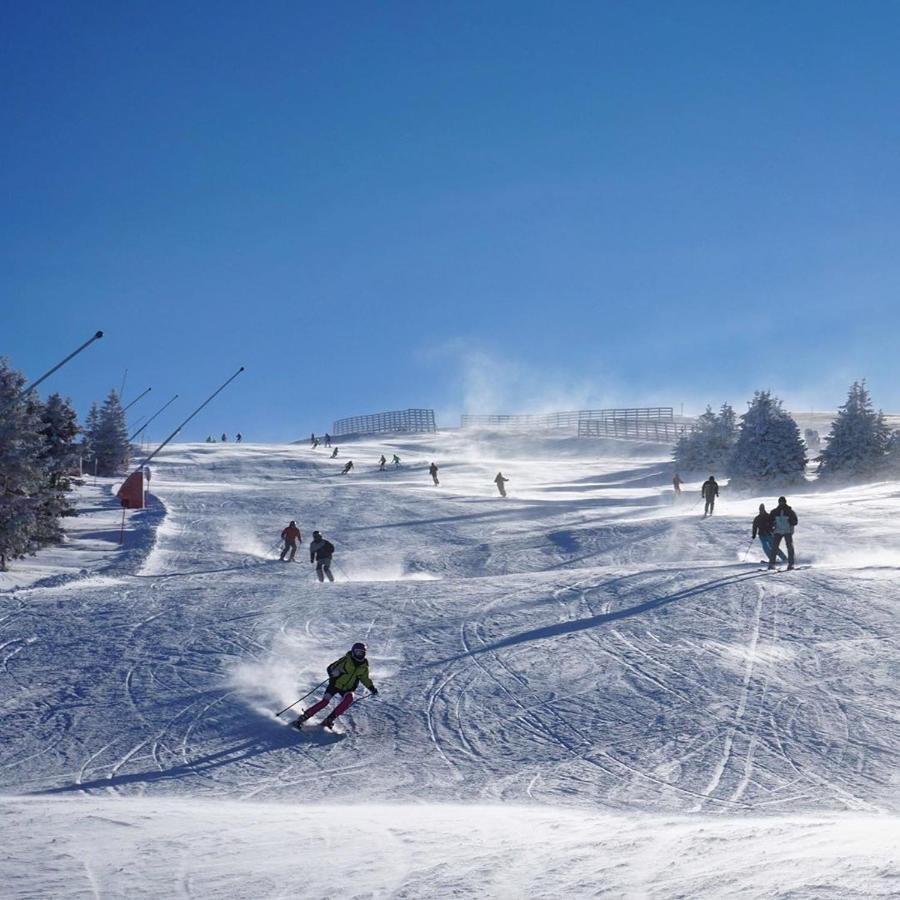 Apartment Snow Garden Kopaonik Bagian luar foto
